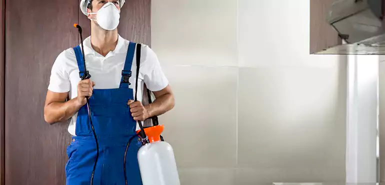 Why San Bernardino Homeowners Choose Us When Pests Make Selling Difficult