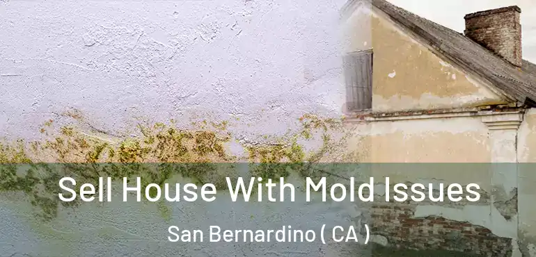 Sell House With Mold Issues San Bernardino ( CA )
