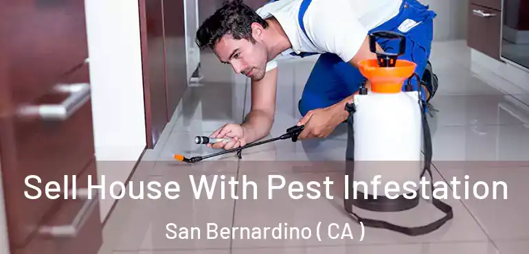  Sell House With Pest Infestation San Bernardino ( CA )